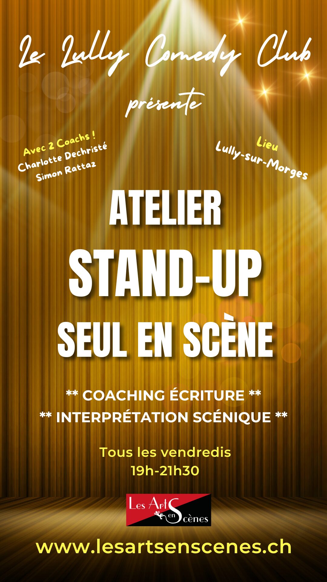 Stand up insta story (Votre story)